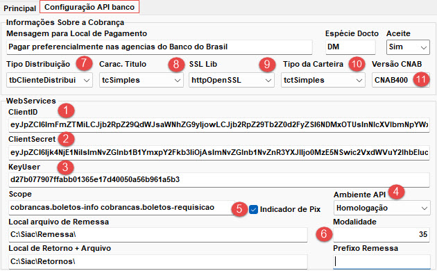 tela de configuração API